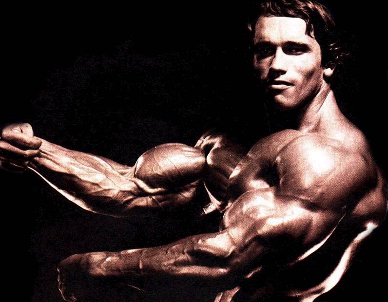 Arnold Schwarzenegger - The Best Gallery Of This Bodybuilding Icon!