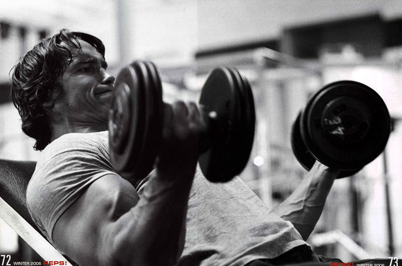 Arnold Schwarzenegger The Best Gallery Of This Bodybuilding Icon Arnold Schwarzenegger Bodybuilding Arnold Training