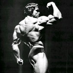 Arnold-Schwarzenegger-Shadow Arnold-Schwarzenegger-Shadow