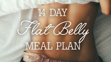 14 Day Flat Belly Meal Plan Ingredient List + Breakdown Per Meal!