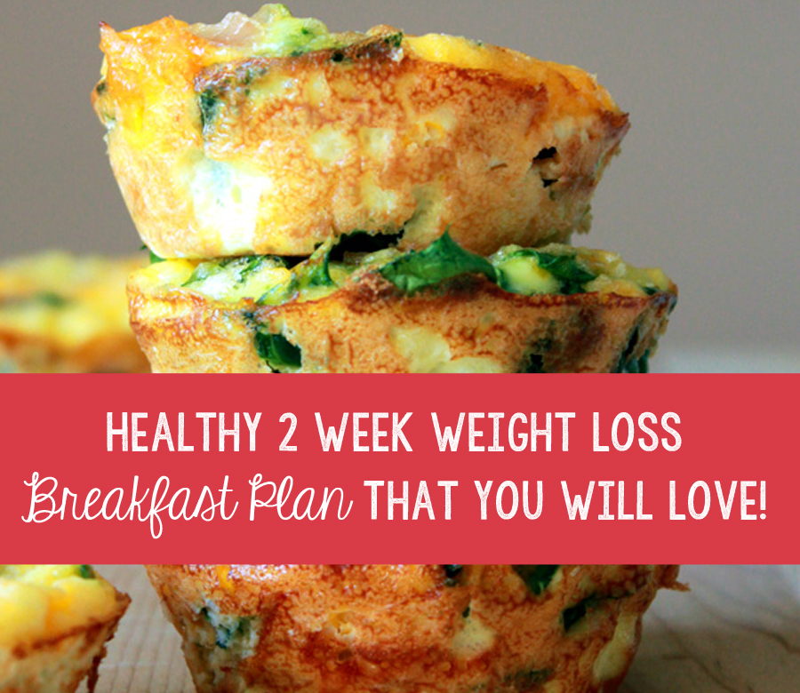 Healthy 2 Week Weight Loss Breakfast Plan That You Will Love!