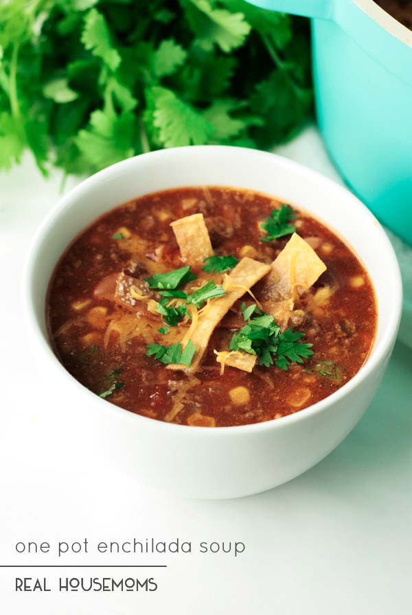 10. One Pot Enchilada Soup