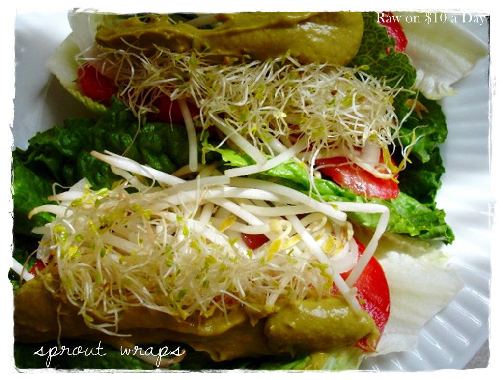 12. Sprout Wraps