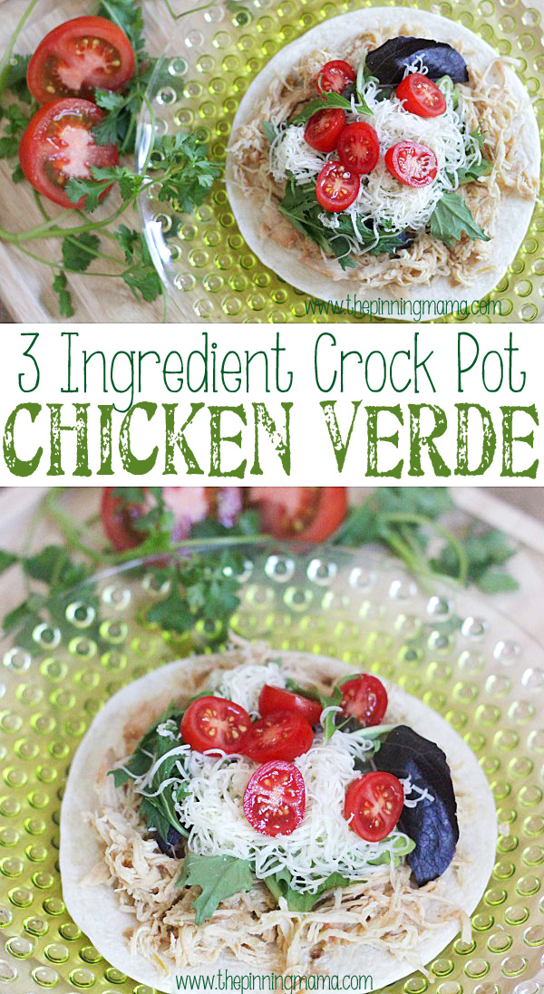 27. Chicken Verde