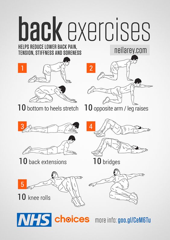 18 Fat Burning Back Workouts That Will Sculpt And Define Your Back