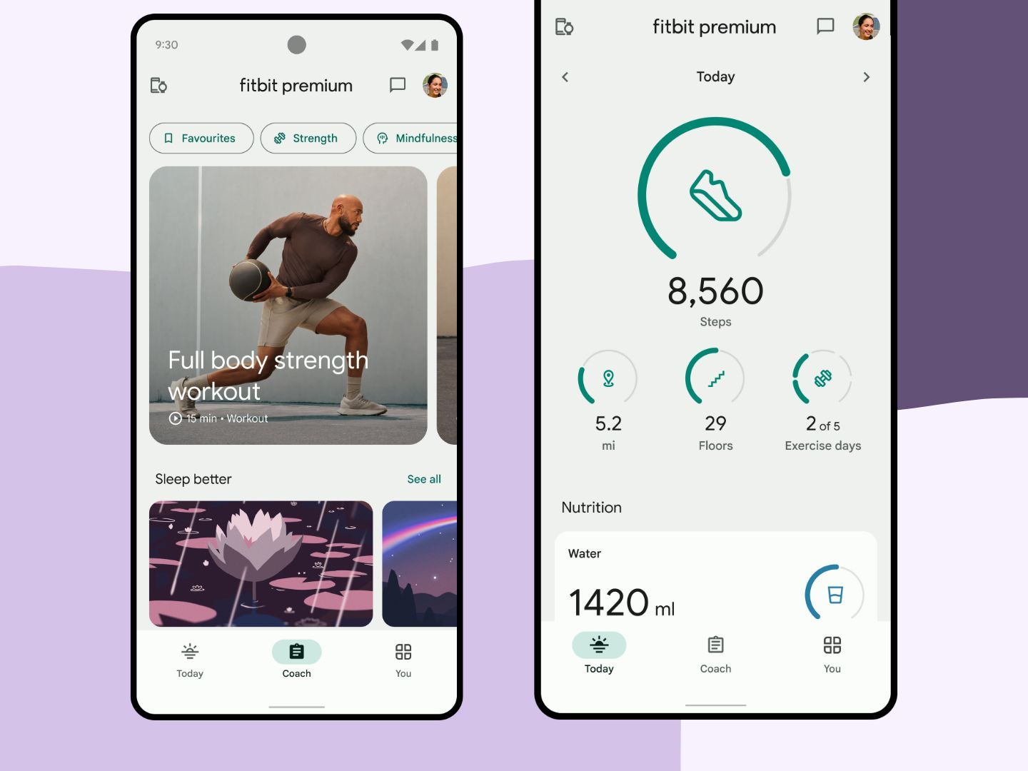 FitBit Review 